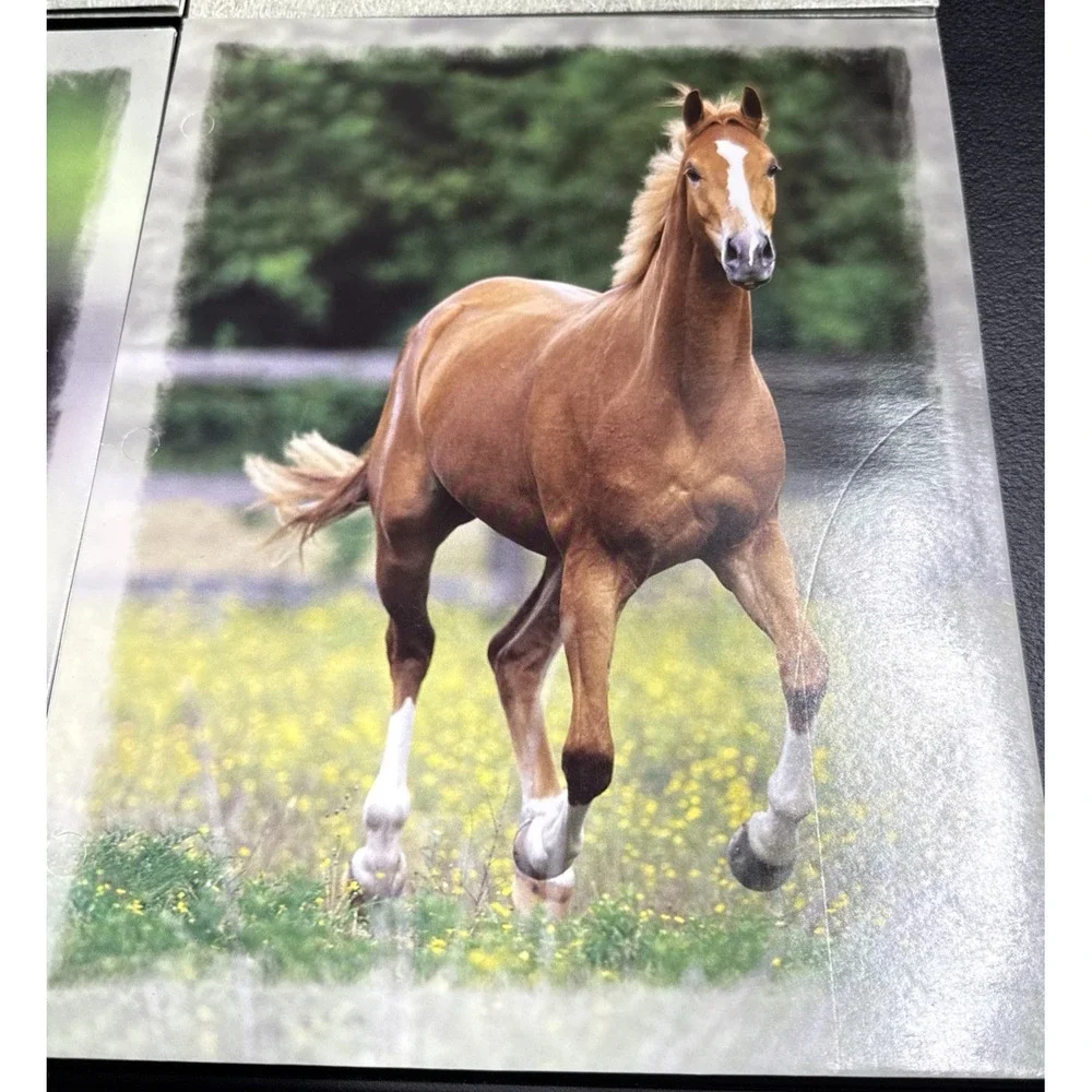 5-Vintage 2005 Horse Mead Portfolio 2 Pocket 3 Ring Bob Langrish